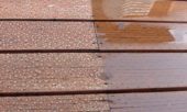gallery-10074-for-43025216