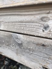 gallery-10081-for-43023052