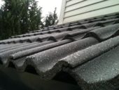 gallery-10076-for-60076837