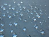 gallery-10078-for-60076837