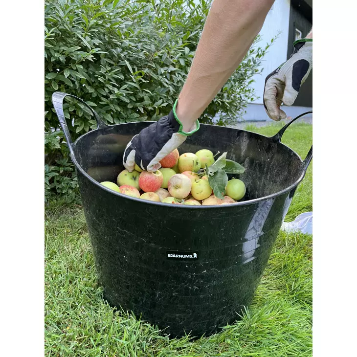 gallery-1008-for-105497