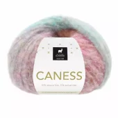 DSA: Caness, 2501, Fruity Honey