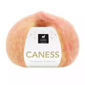 DSA: Caness, 2503, Sunshine