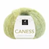 DSA: Caness, 2504, Caribbean Kiwi