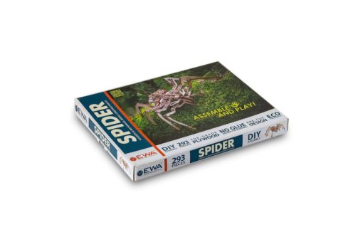 EWA: Spider