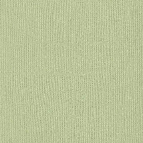 Bazzill Mono Canvas Aloe Vera