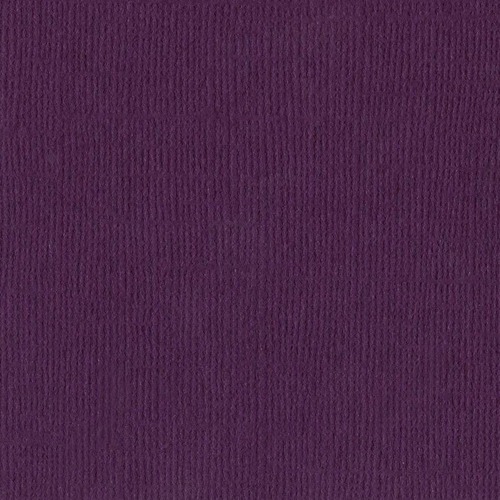 Bazzill Mono Canvas Velvet