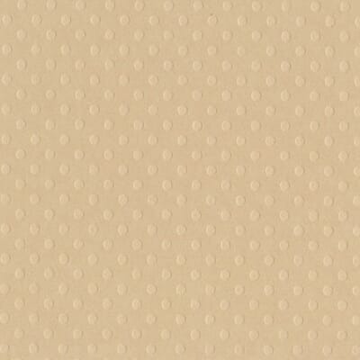 Bazzill Dot Swiss Sandbox