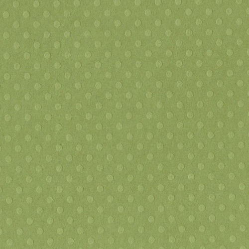 Bazzill Dot Swiss Irish Eyes