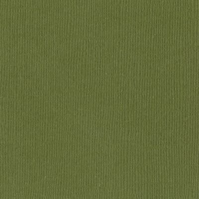 Bazzill Mono Canvas Nixon