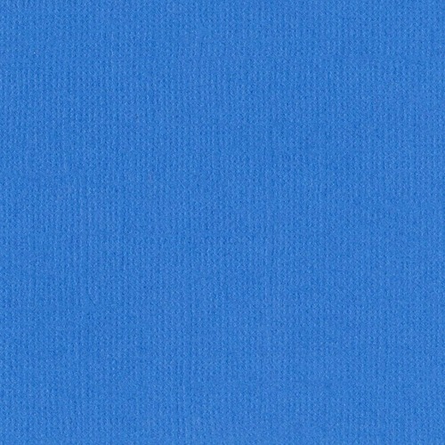 Bazzill Mono Canvas Pauly poo