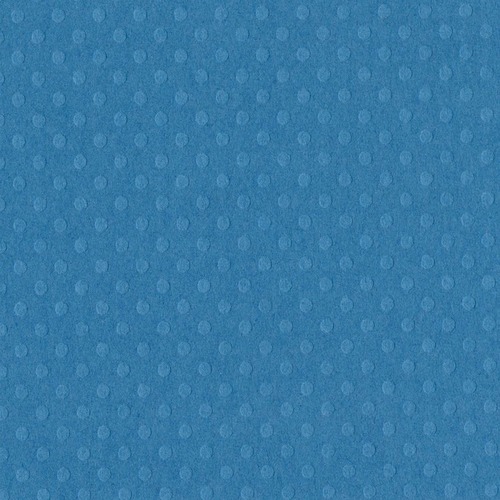 Bazzill Dot Swiss Surfs Up