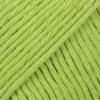 Drops: Paris, 39, Wasabi