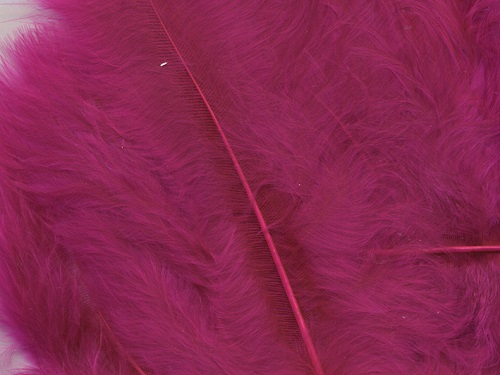 Fjær 15 stk Fuchsia