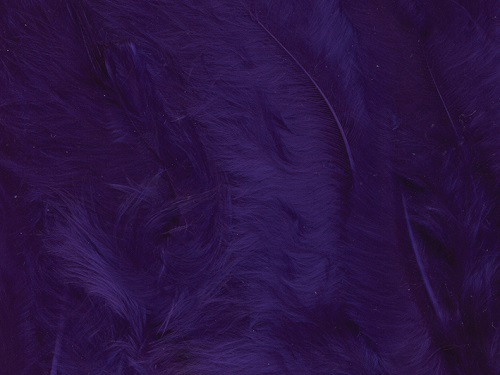 Fjær 15 stk Lilla