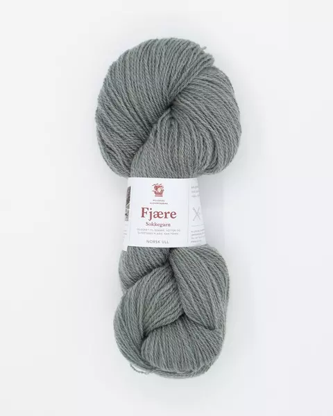 Hillesvåg: Fjære, 556, salvie