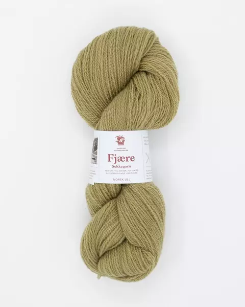 Hillesvåg: Fjære, 558, støvet gulgrønn