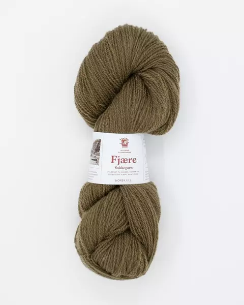 Hillesvåg: Fjære, 559, olivenbrun