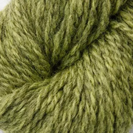 Hillesvåg: Blåne, 2107, lime