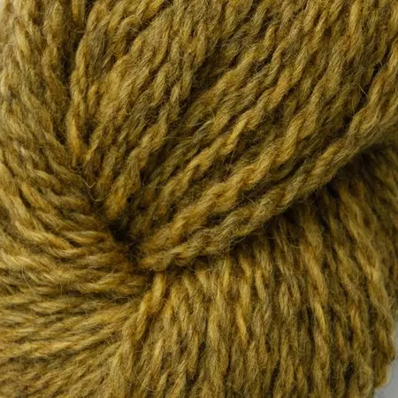 Hillesvåg: Blåne, 2119, gul