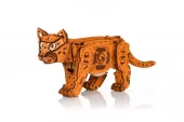 EWA: Ginger Kitten