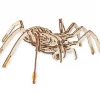 EWA: Spider