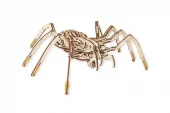 EWA: Spider