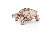 EWA: Turtle