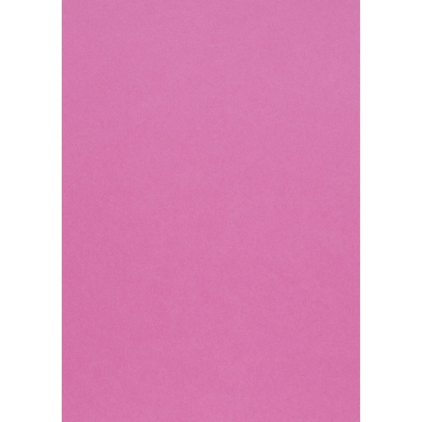 Hobbykartong A4 L.rosa 10 Stk