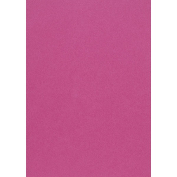 Hobbykartong A4 Fuchsia 10 Stk