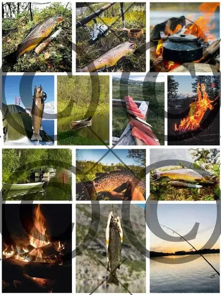 Motivark: Fiskemotiv