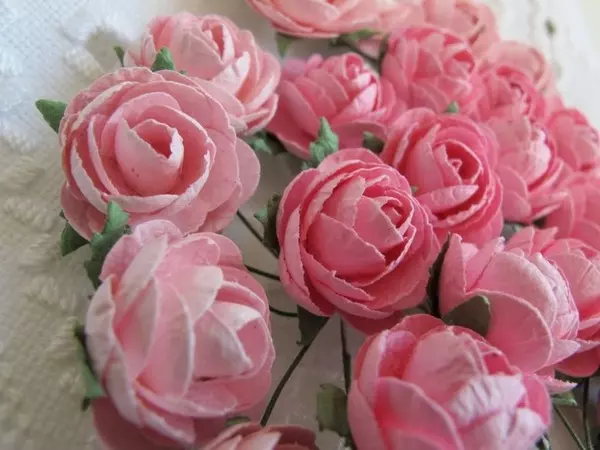 Papirblomster: Pion, Lysrosa