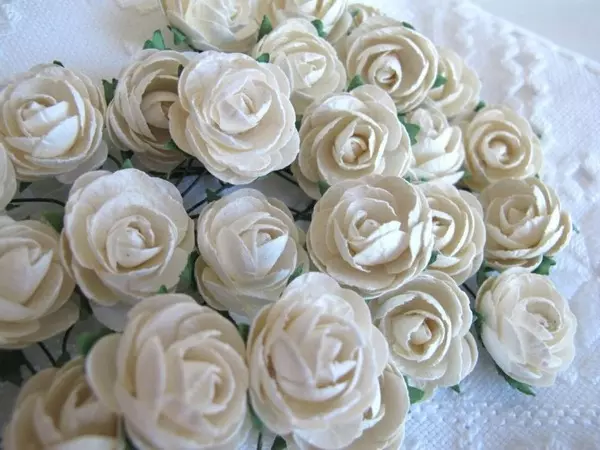 Papirblomster: Pion, Krem/Hvit