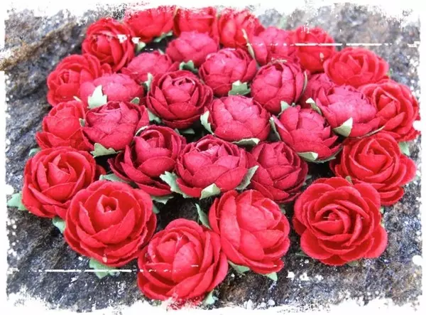 Papirblomster: Pion, Rød