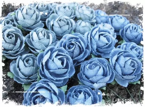 Papirblomster: Pion, Vintage Blå