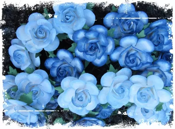 Papirblomster: Roser 2.5cm, Farget Kant Blå