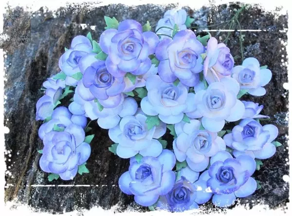 Papirblomster: Roser 2,5cm, Farget Kant Lilla