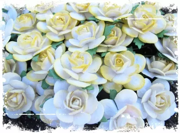 Papirblomster: Roser 2.5cm, Farget kant Gul