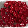 Papirblomster: Søte Blomster, Røde