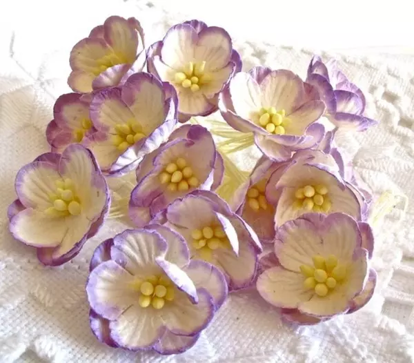 Papirblomster: Kirsebærblomst, Mørk Lilla