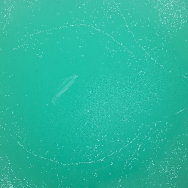 Pigmentfarge 4g Turkis
