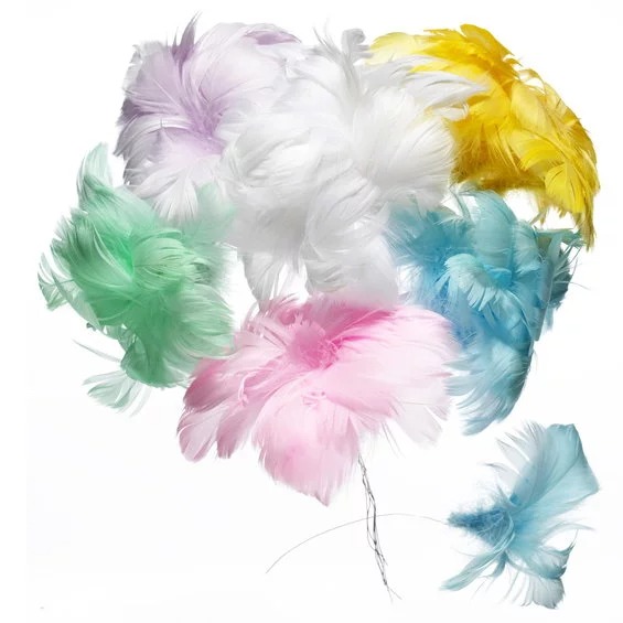 36 Stk. Magnoliafjær Pastell