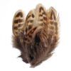 Fasanfjær Beige 4-8 Cm 40 Stk