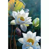 Diamond Painting, 20x30cm, The Tenderness of the Lotus