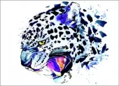 Diamond Painting, 30x40cm, Snow Leopard