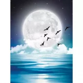 Diamond Painting, 30x40cm, Under the Moonlight