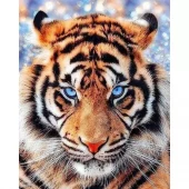 Diamond Painting, 40x50cm, The Look of Tiger