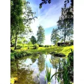 Diamond Painting, 40x50cm, In the Wild