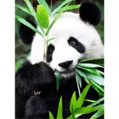 Diamond Painting, 40x50cm, Panda Idyll