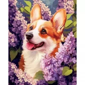 Diamond Painting, 40x50cm, Springtime Corgi